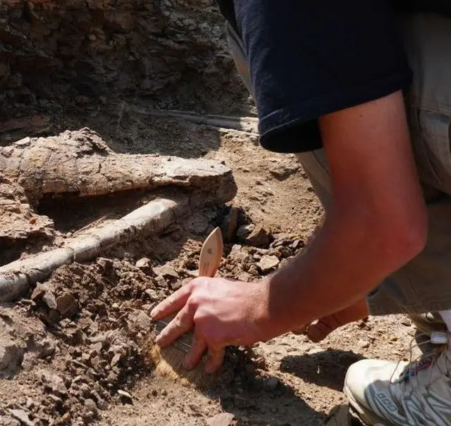 Tracking von Fossilien mit RFID