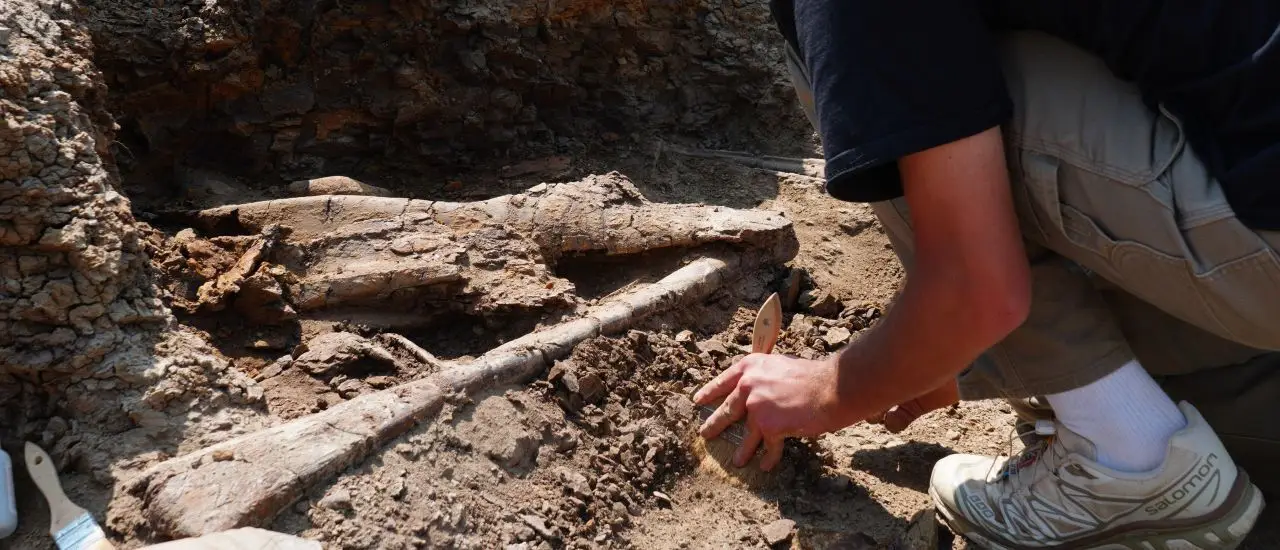 Tracking Anthropological Discoveries with RFID