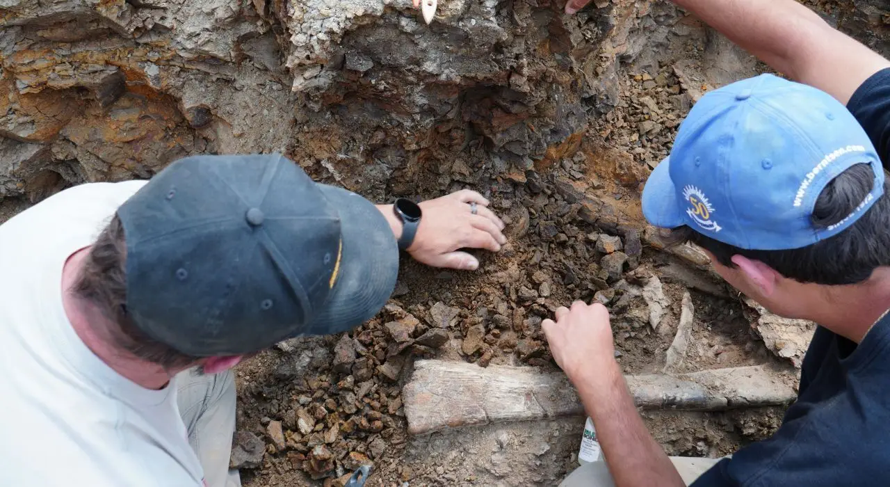 A fossil tracking solution was required.