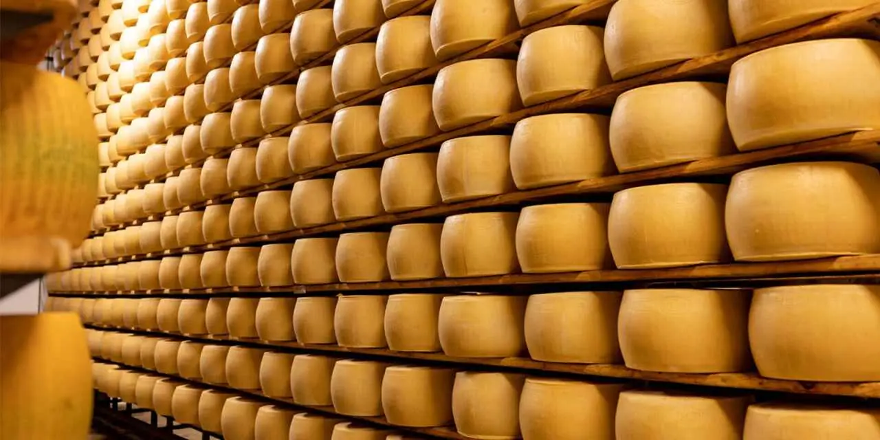 The 100% Italian food products from Granterre are rich in tradition, care and passion.