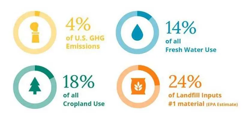 Wasted food requires 25 percent of the world's water supply and an area larger than China.