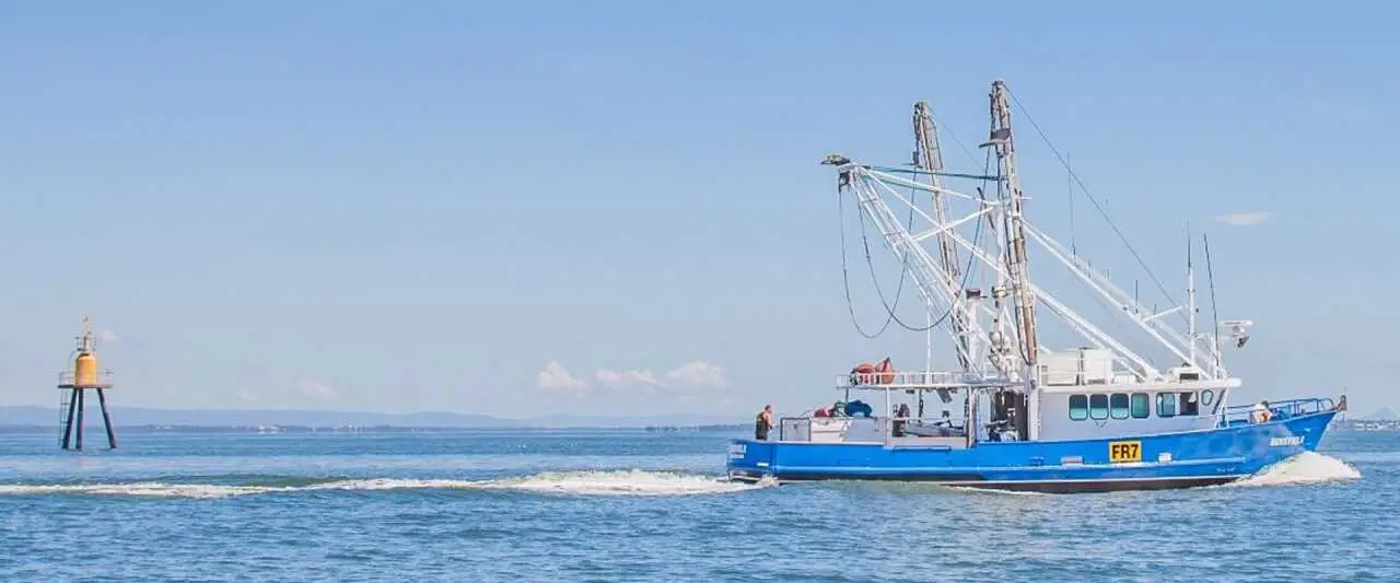 Tomkat Line Fish boat