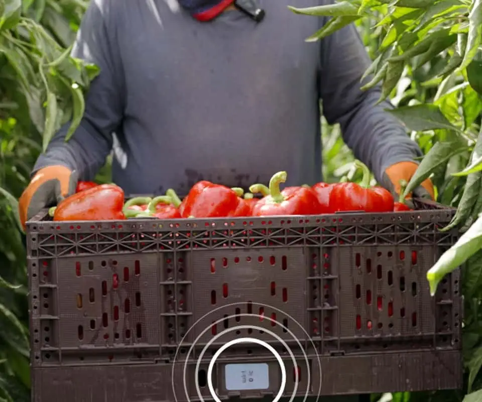 The Wiliot IoT Pixel is a self-powered Bluetooth computer the size of a postage stamp.