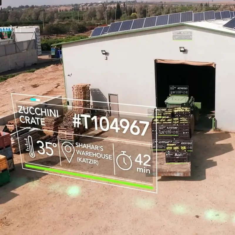 Vegetables in tagged containers. The journey from the field to the supermarket.