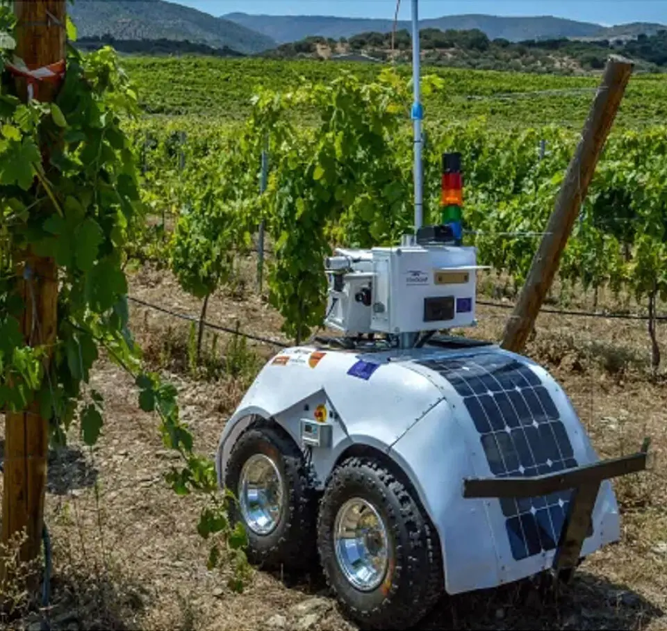 VineScout: Robots against labor shortage and climate change