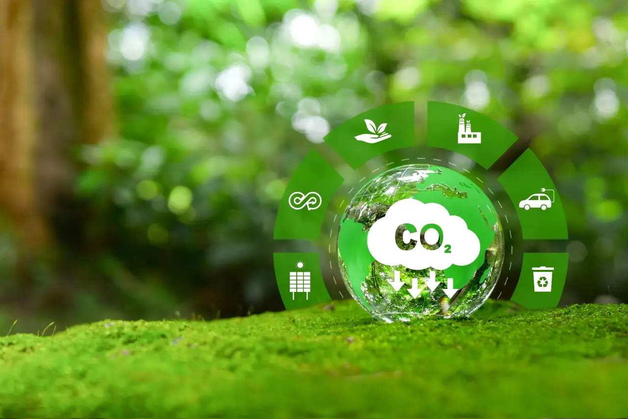 How the Travelling Asset Network Supports EUDR Compliance