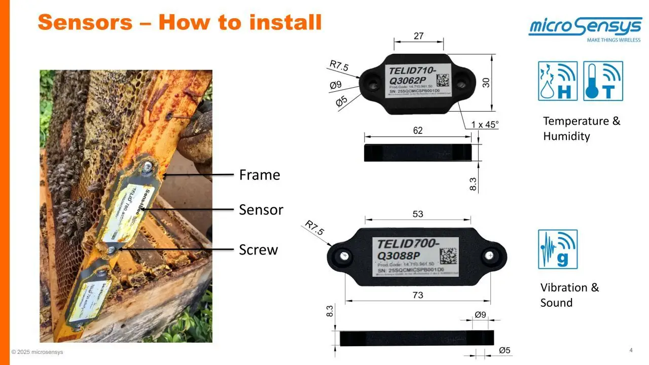 Installation of TELID sensors on honey frames