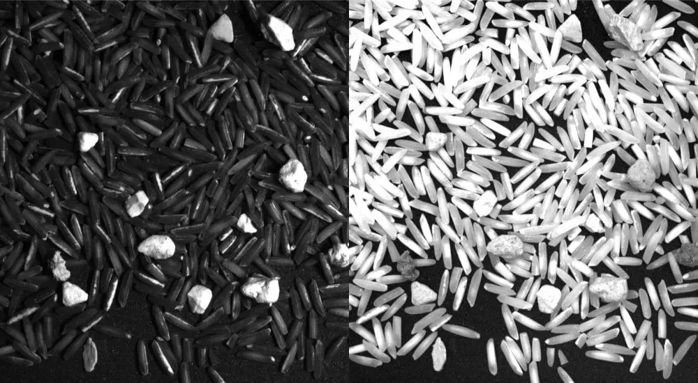SWIR application example – Contaminants in rice: Left: standard camera (visible light); right: SWIR camera with 1050 nm illumination.