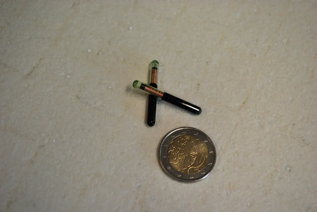 RFID glass tags for compact and durable identification