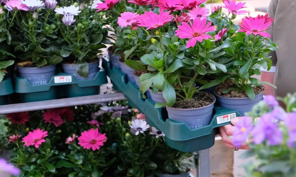 Smart reusable trays with RFID technology are bringing transparency and efficiency to Europe’s green supply chain.