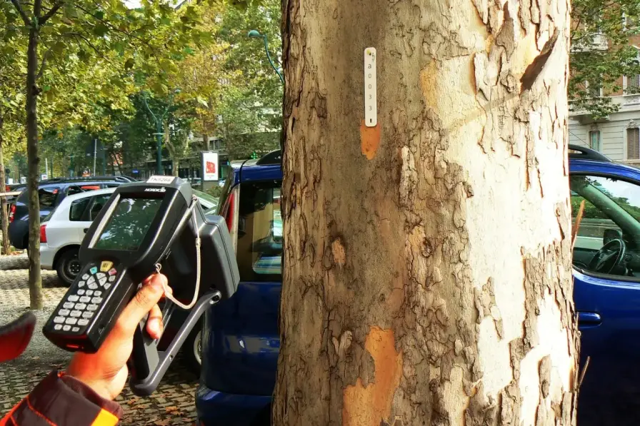 Une étiquette RFID plate en silicone, à fixer sur un arbre, qui permet une identification fiable ainsi que le suivi des interventions d'entretien en extérieur.