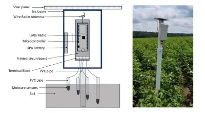 US-Studie: LoRa-IoT automatisiert Bewässerung im Feldtest