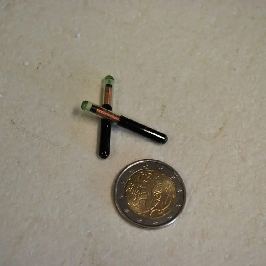 ÉTIQUETTE RFID EN VERRE