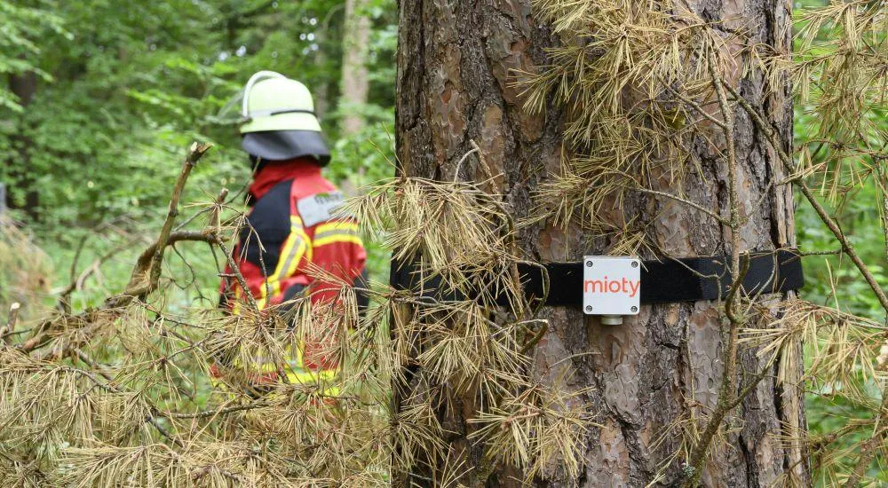 SmartForestFire detects smoke before wildfires escalate