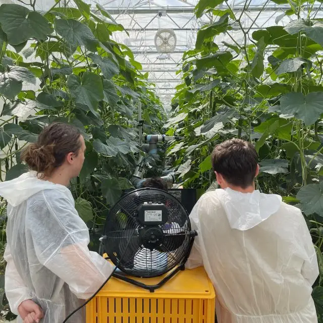 AI-Based Image Processing Systems in Agriculture