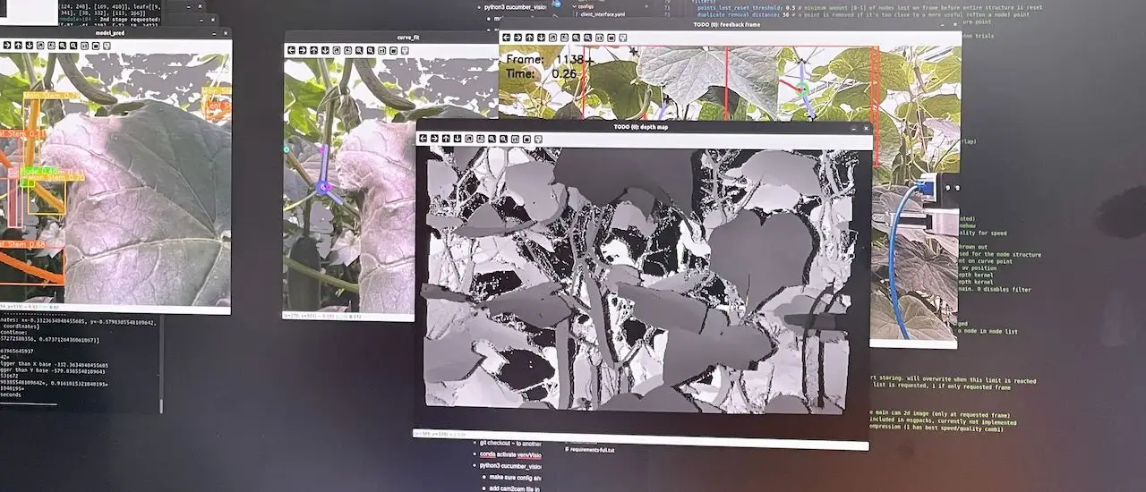Robotik und Deep Learning im Gemüsebau